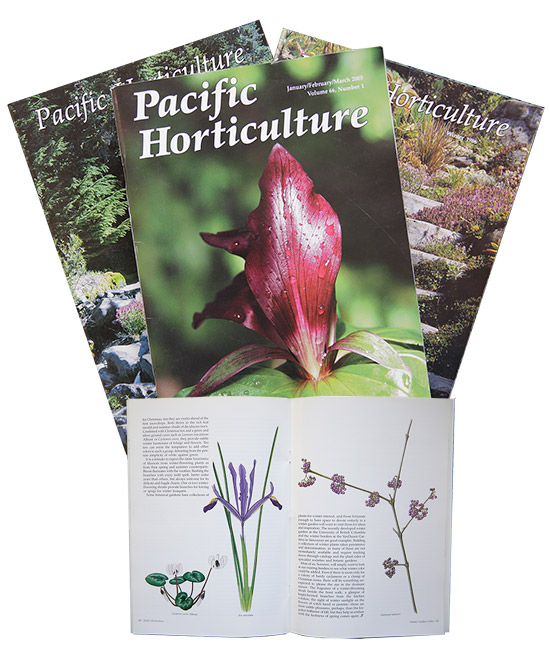 Pacific Horticulture